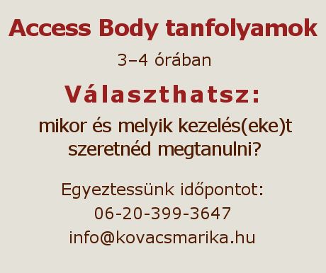 Access Body